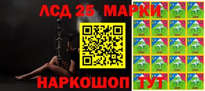спиды Сланцы
