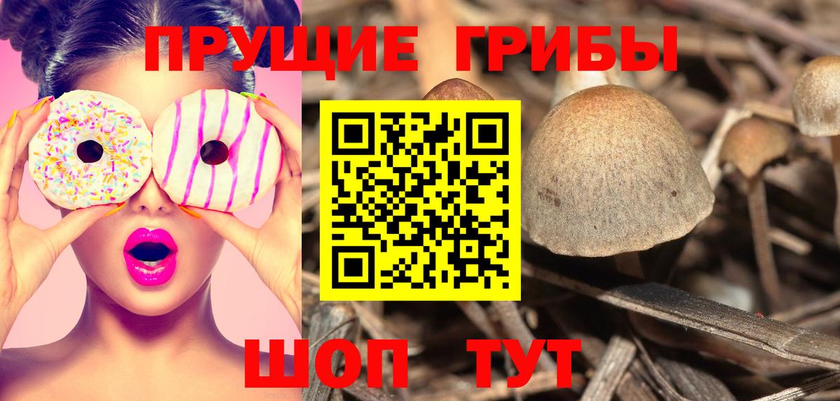 Нальчик  Псилоцибиновые грибы ЛСД  Галлюциногенные грибы ЛСД  Вход с VPN 